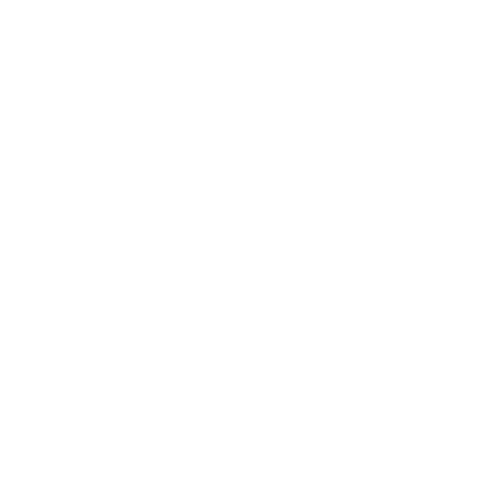 Logotipo_SANFIC